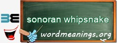 WordMeaning blackboard for sonoran whipsnake